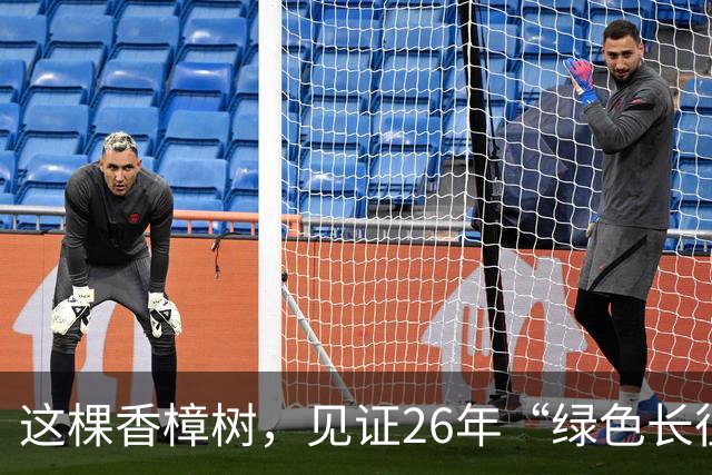 这棵香樟树，见证26年“绿色长征”
